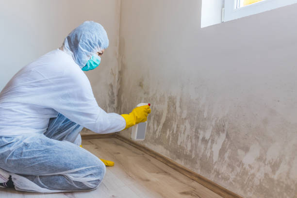 Hvac And Air Duct Mold Remediation inspection of HVAC system in New Egypt