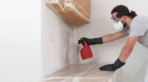 Attic Mold Remediation treatment on roof deck in New Egypt